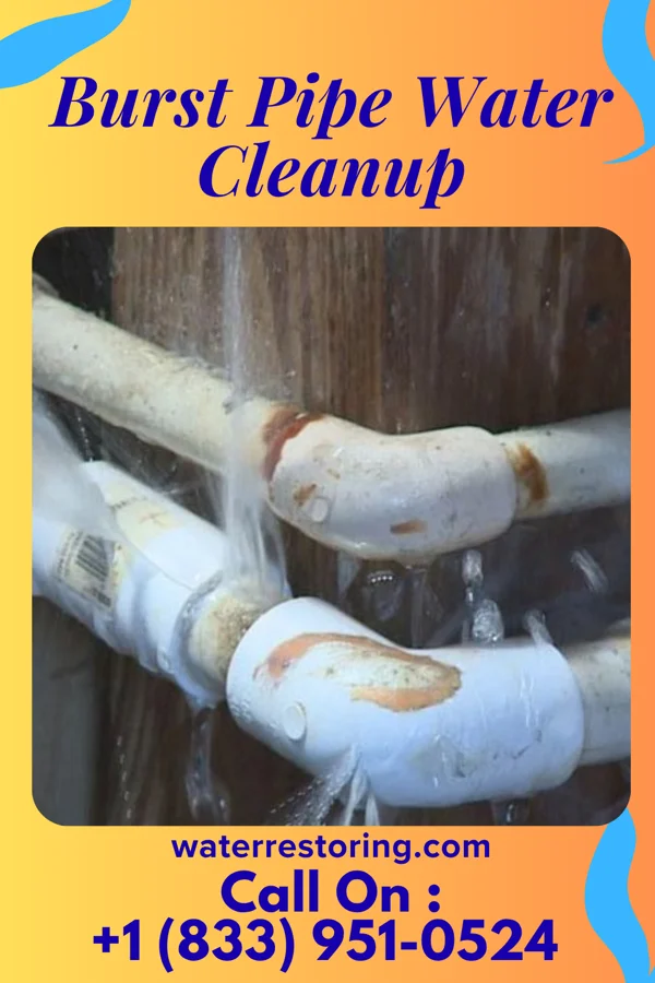 Burst Pipe Water Cleanup in Cherokee Village, AR